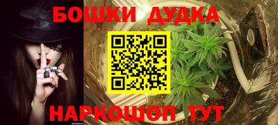 PSILOCYBIN Ирбит