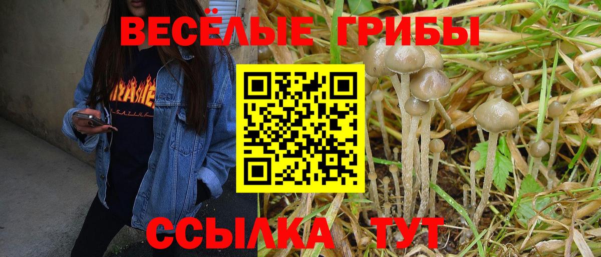 Псилоцибиновые грибы ЛСД Кубинка