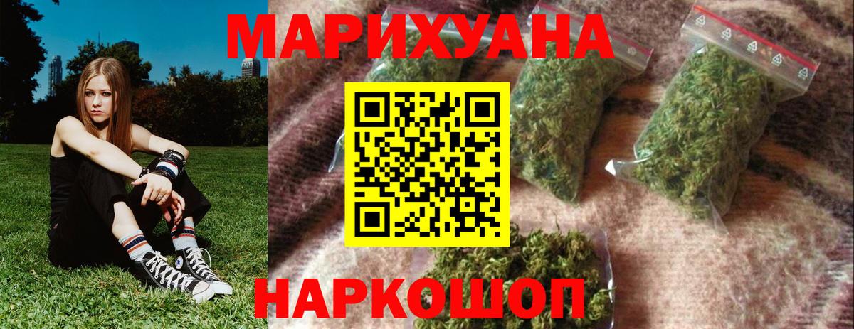 Бошки Шишки планчик Кубинка